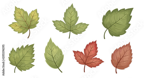 Collection of various colorful leaves.