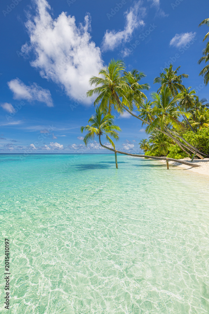 Fototapeta premium Breathtaking travel landscape of a tranquil paradise island and amazing tropical beach with turquoise ocean water white sand and peaceful nature scenery for summer holiday concept majestic wallpaper