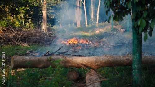 Foto Burning branches and dry brush clearing land for cultivation in rural forest are