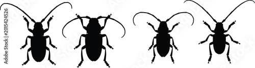 Bild auf Leinwand Longhorn beetle silhouettes set