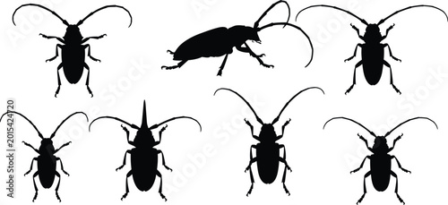 Bild auf Leinwand Longhorn beetle silhouettes set