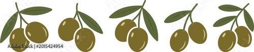 Set of green olive branch with leaves isolated on transparent background, Mediterranean organic food icons for oil labels and botanical elements, flat vector illustration of fresh harvest fruit