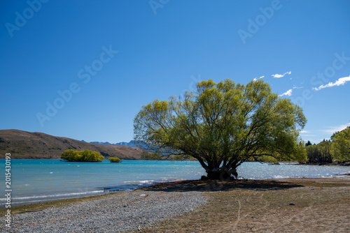 Lake Tekapo