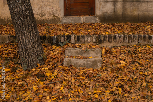 otoño estación amarilla
