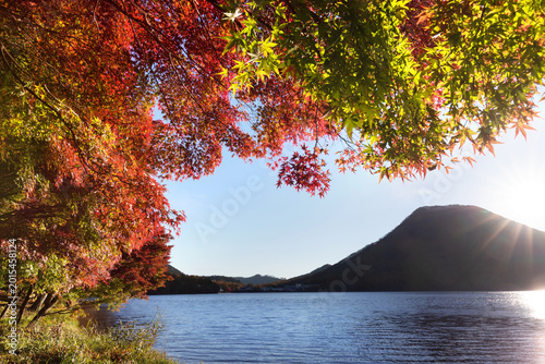 Schilderij op canvas View of Mount Haruna through glowing autumn leaves at Lake Haruna, Gunma, Japan