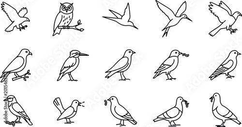 Billede på lærred Bird silhouettes collection isolated on transparent background ornithological il