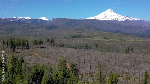 Mount Jefferson Above Burned Forest Landscape in Oregon