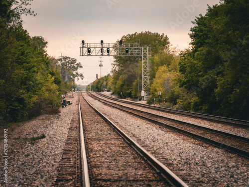 Foto Double railway tracks receding into the distance under a signal bridge and green