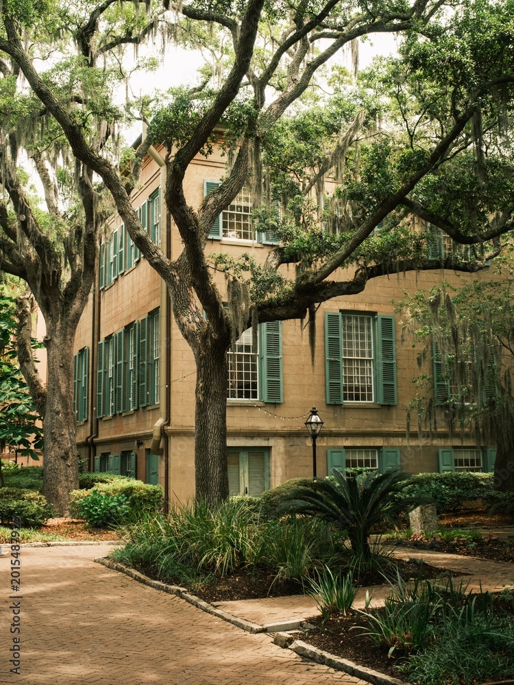 Obraz premium A historic building surrounded by lush greenery and tall trees draped in Spanish moss at the College of Charleston in Charleston, South Carolina