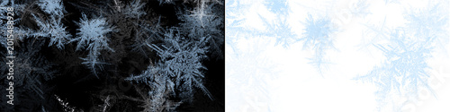 Schilderij op canvas Ice crystals on window glass, frozen ornament, dark frosty background, winter pattern, cold abstract design
