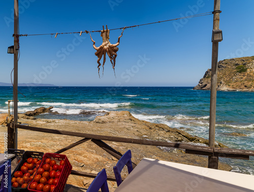 Photos Freshly caught octopus drying on a line against a beautiful blue sea backdrop