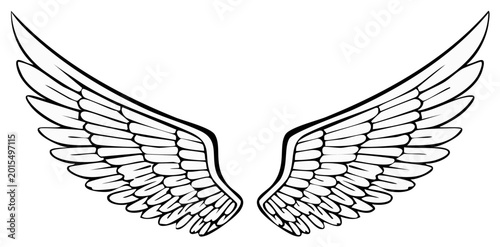 Symmetrical Angel Wings Clipart Line Art