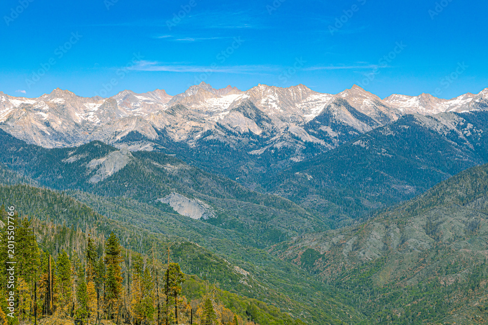 Fototapeta premium A stunning view of the jagged, snow-dusted peaks of the Great Western Divide seen across a forested valley in the Sierra Nevada.