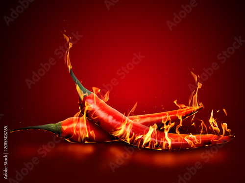 Fényképezés Hot chili peppers with flames on red gradient background