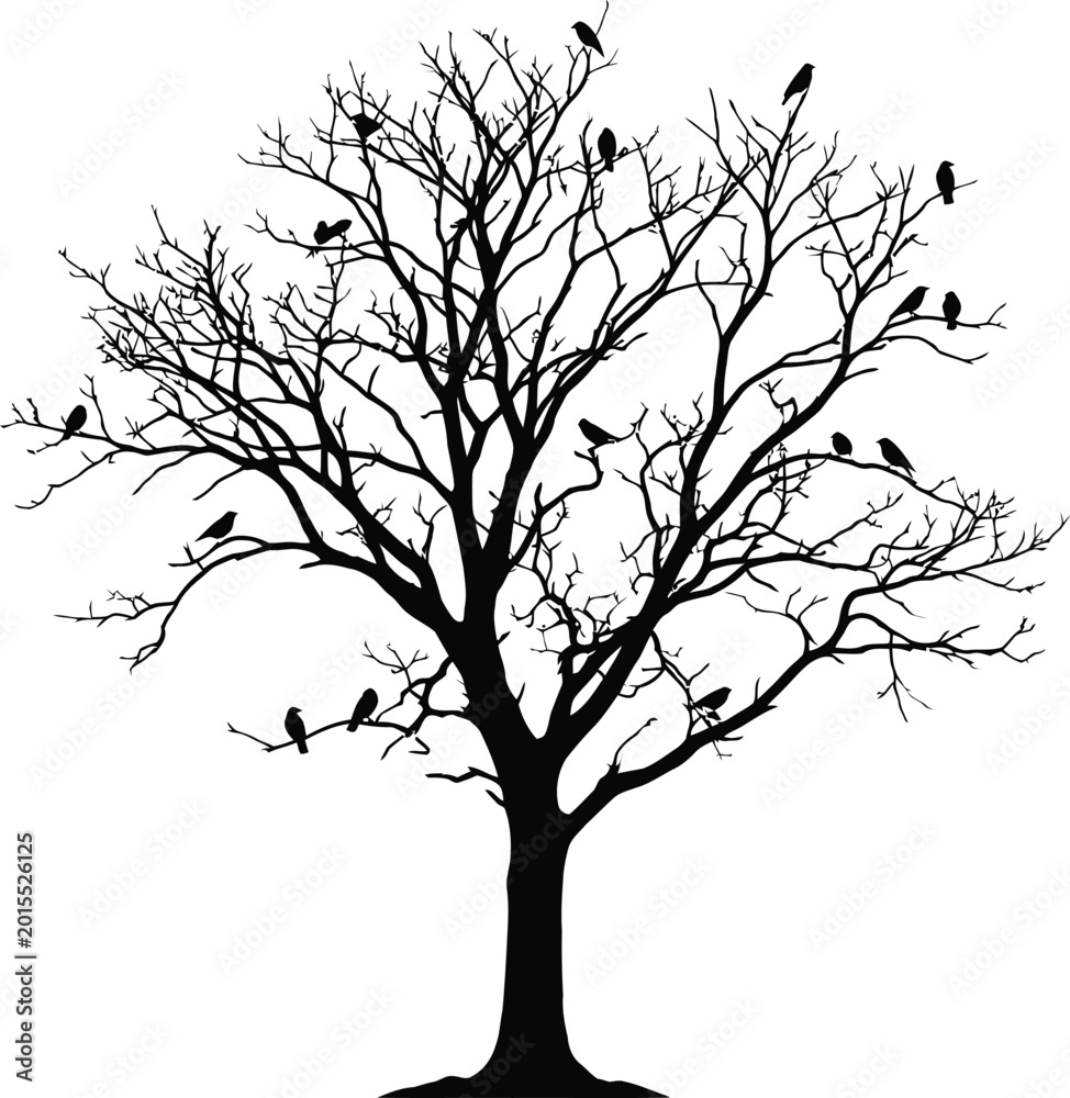 Fototapeta premium Bare tree with birds silhouette against a white background