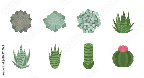 Assorted Succulent Plants Collection, Desert Flora Icons