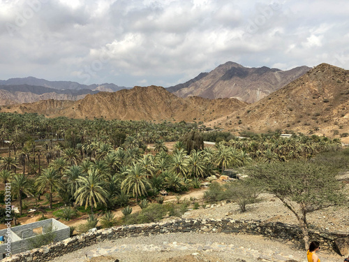 Date farm under the mountains