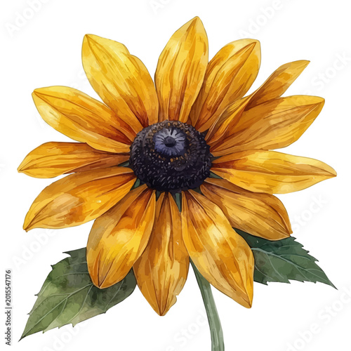 Foto Rudbeckia Flower, refined watercolor illustration with luminous tones and soft layered brushwork, isolated on a white background