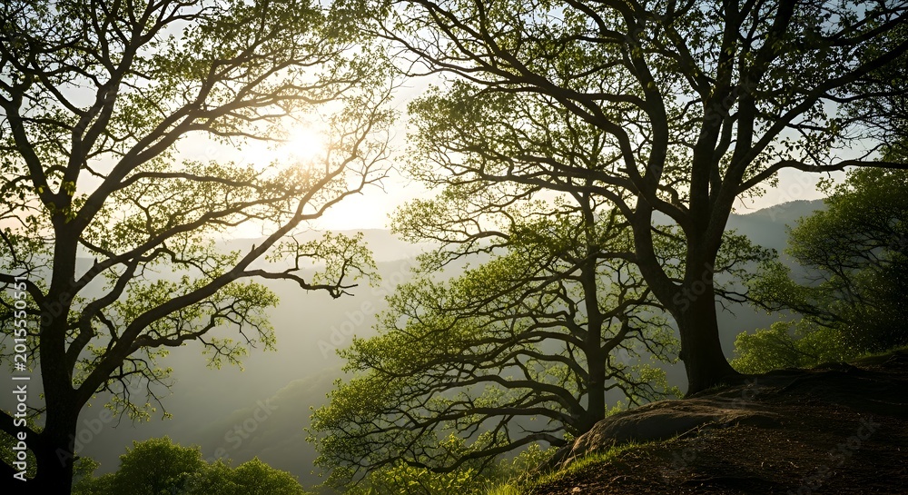 Fototapeta premium Luminous forest canopy framing a distant mountain range bathed in golden sunlight, showcasing the delicate balance between organic growth and atmospheric perspective, a serene vista.