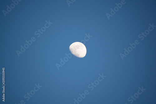 Canvas Print luna