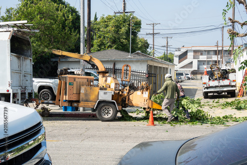 Принти на полотні Arborists use a wood chipper to process branches and debris from tree trimming