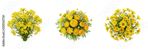 Tableau sur toile Bright Orange Marigold Flower Head Isolated On Transparent Background Fresh Summ