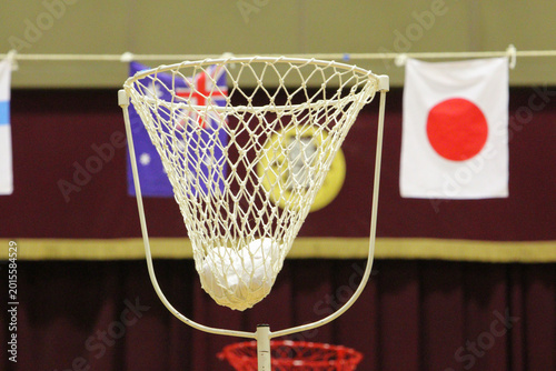 Photos 白組の玉入れ
