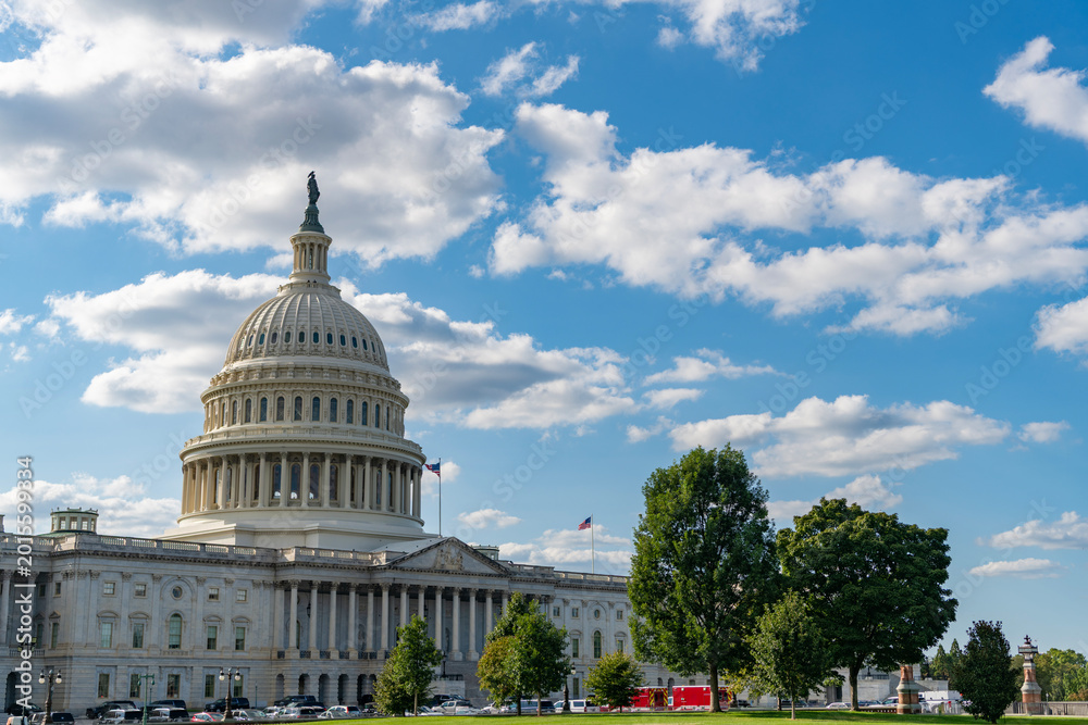 Fototapeta premium Famous Capitol in Washington DC. Washington DC landmark. Senate and House in Washington DC. Capitol dome. Historic Capitol by the national flag. Capitol dome as symbol of law