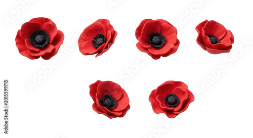red artificial poppies arranged on a clean white background remembrance day displays celebrating honor