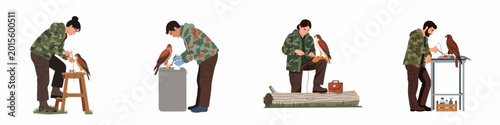 Photos Illustrations of professional falconers and wildlife rehabilitators in camouflage gear providing medical care and training to hawks in various settings