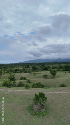 Serene Aerial View of Rolling Green Hills and Scattered Trees with Distant Mountains Under a Cloudy Sky
