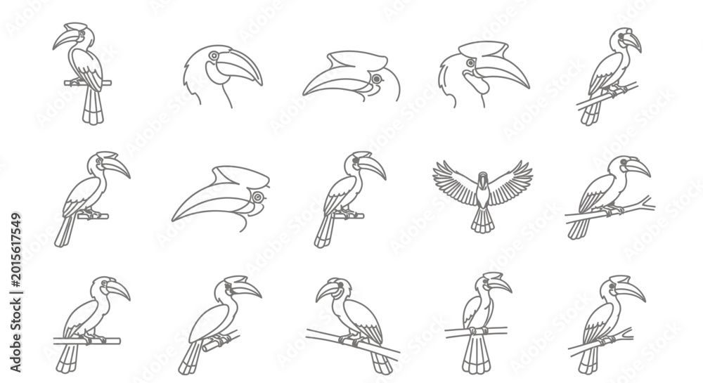 Fototapeta premium Hornbill bird vector set line art illustrations for design projects