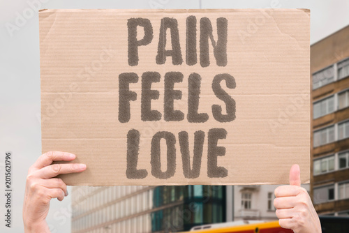 Photography "Pain Feels Love" Intense suffering within relationships is frequently mistaken for deep love