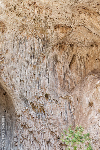 Photos Detailed travertine rock formations on the underside of the Tonto Natural Bridge