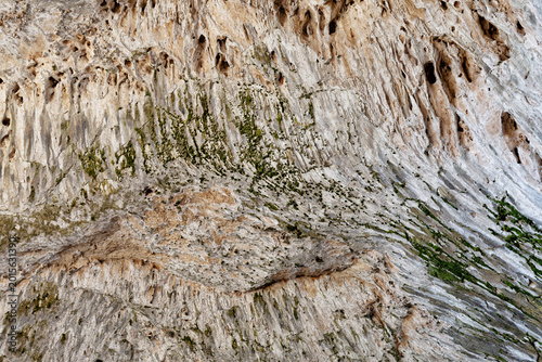 Photography Detailed travertine rock formations on the underside of the Tonto Natural Bridge