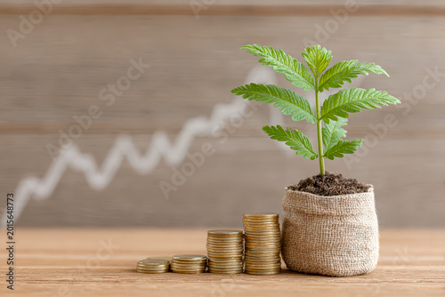 Young green plant growing in a small burlap bag next to stacks of gold coins with a blurred rising graph background.