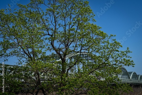 Photos 新緑に囲まれて