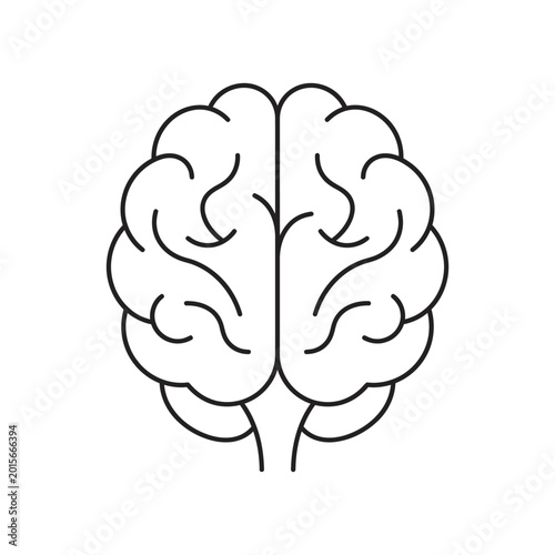 Minimalist Top Down Perspective Linear Illustration of a Symmetric Human Brain Displaying Left and Right Hemispheres for Educational and Science Concepts