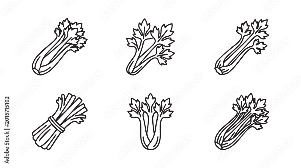 Naklejka premium Linear drawings of celery stalks and leaves arranged in a cluster vegetable nutrition ingredient collection illustration minimalist