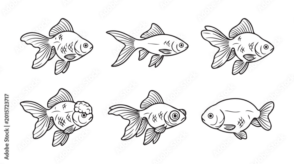 Fototapeta premium Collection of goldfish illustrations in different poses with hand drawn line art black and white aquatic life carassius auratus goldfish aquarium freshwater illustration minimalist creature
