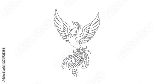 Photos Phoenix Bird Line Art Drawing - Symbol of Rebirth and Immortality