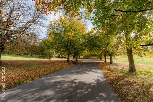 The landscape of Greenwich Park in London, England