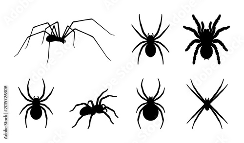 Canvas Print Spider Silhouettes Vector Set, Arachnid Icons Collection, Creepy Crawly Insect G
