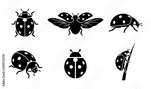 Foto Set of 6 Black Ladybug Icons, Simple Vector Illustrations of Ladybirds in Variou