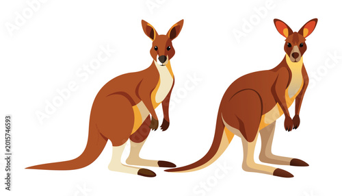kangaroo clipart vector illustration