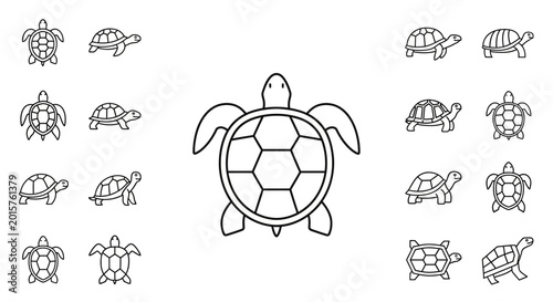 Photography Turtles in various swimming positions.