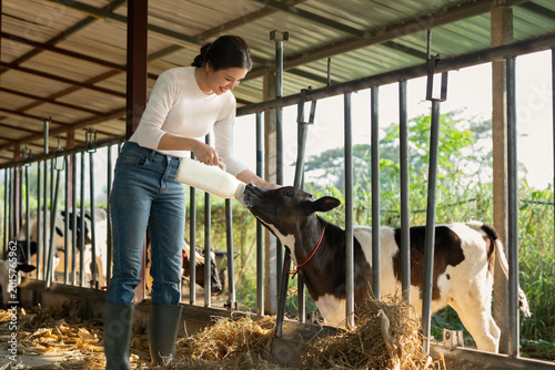 Photos young female farmer is feeding from the bottle with dummy an ecologically grown newborn calf used for biological milk products industry in a cowshed stable of countryside dairy farm