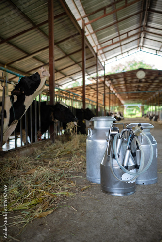 Fotografie farm with cow milking facility and mechanized milking equipment in a modern farm, cows milking machine