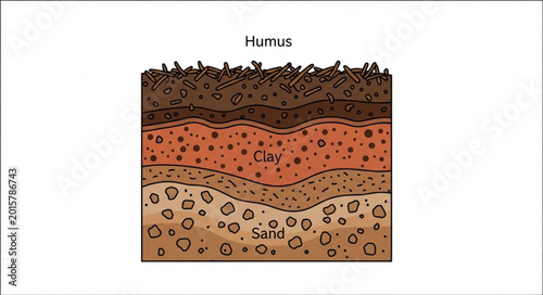 Foto Cross section of soil layers showing humus and different soil horizons