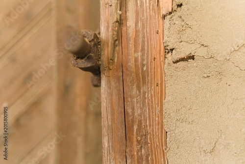 Obraz na plátně Weathered Wooden Beam with Insect